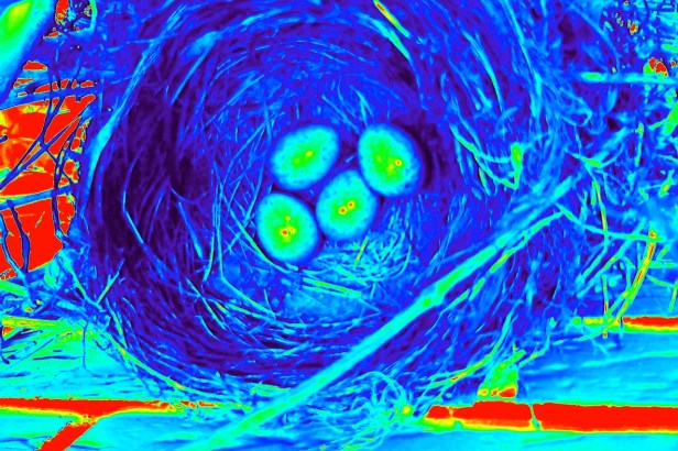 Wärmebild 10 min nach Verlassen