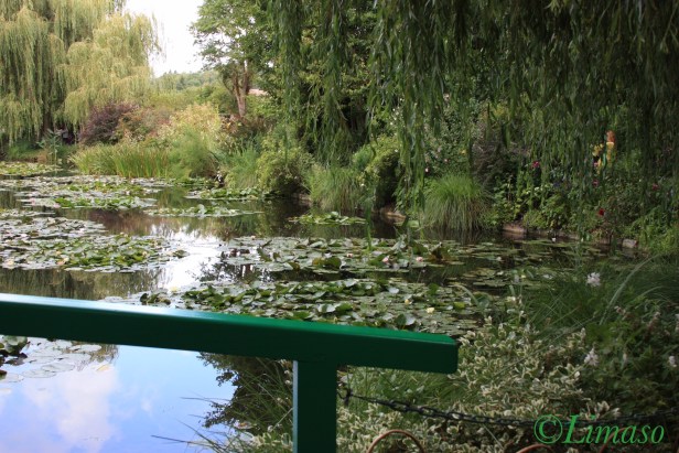 Blick von der Grünen Brücke