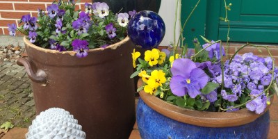 Blaue Töpfe mit grauem Pinienzapfen